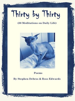 cover image of Thirty by Thirty (30 Meditations on Daily Life)